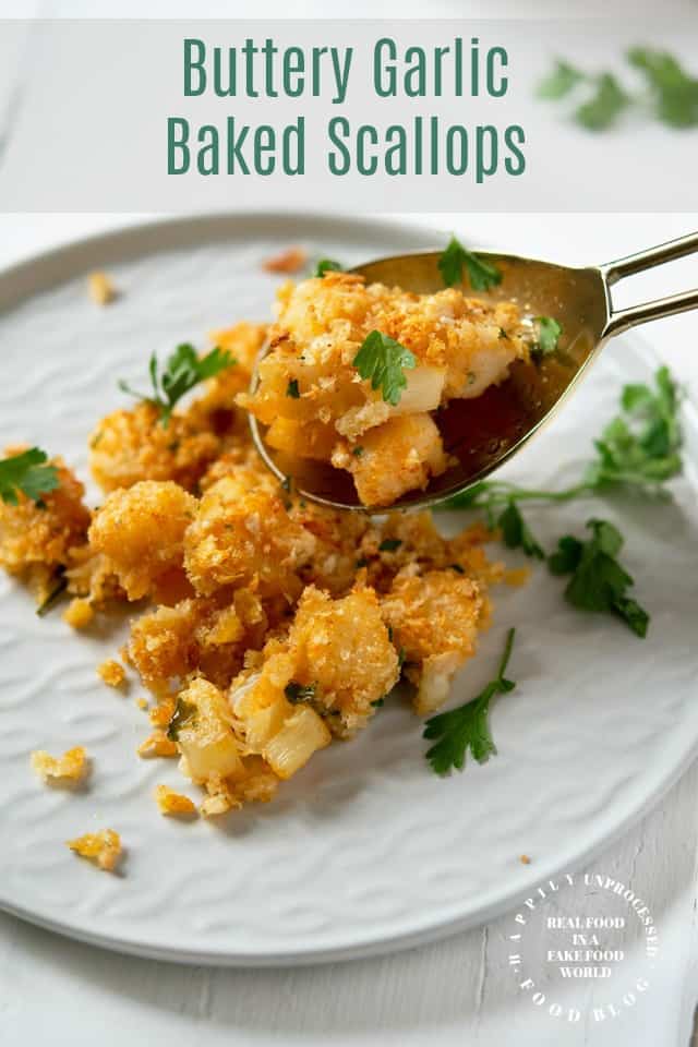 Baked Scallops on a whilte plate breaded and baked with butter and garlic