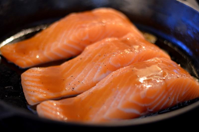 salmon
