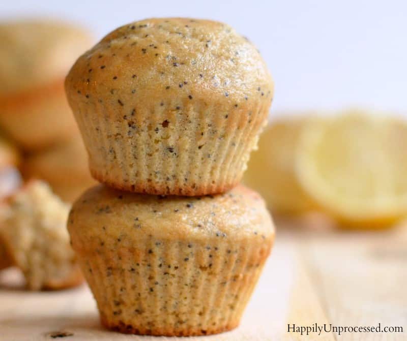 lemon poppy muffin