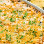 Cheesy chicken enchilada dip with tortilla chips