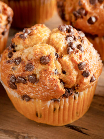 homemade chocolate chip muffins