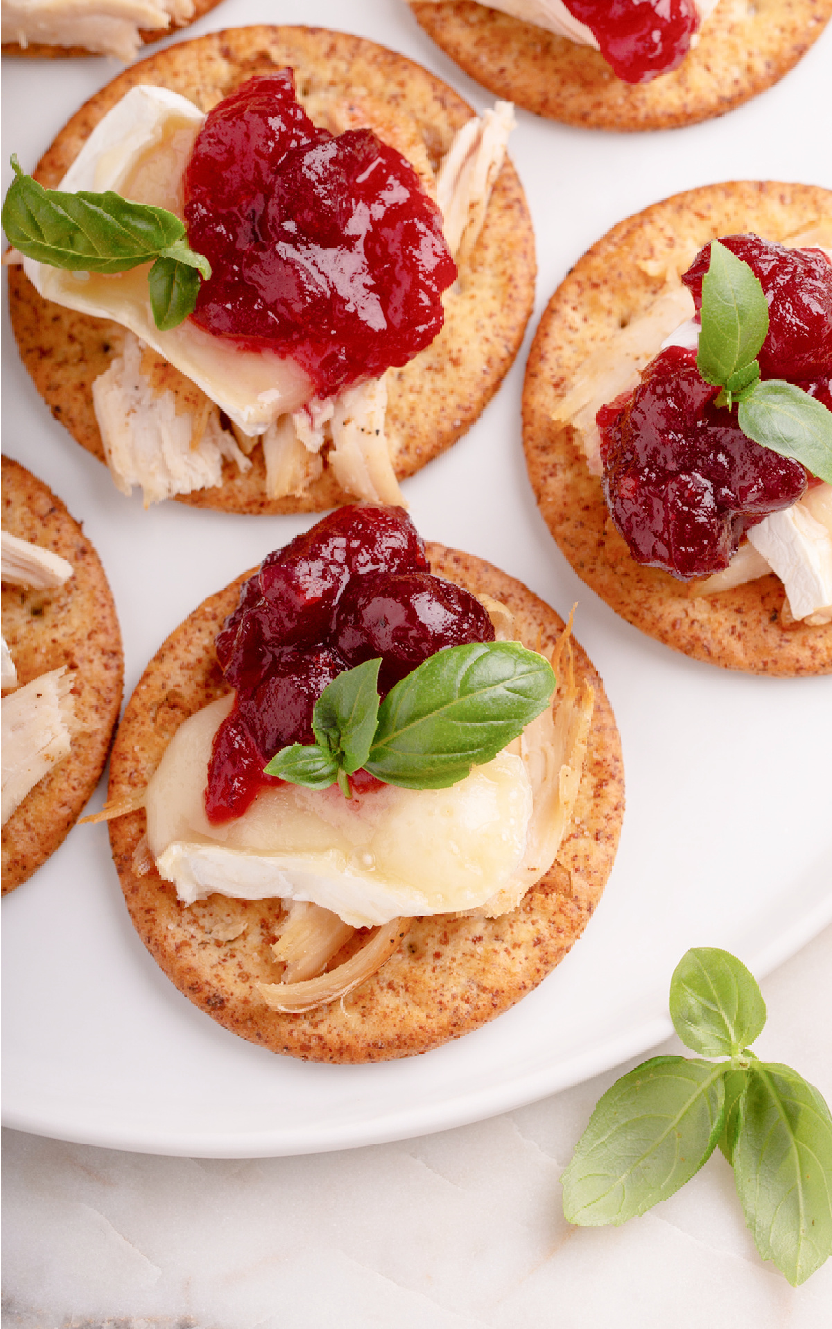 Leftover Thanksgiving turkey, brie and cranberry sauce on crackers