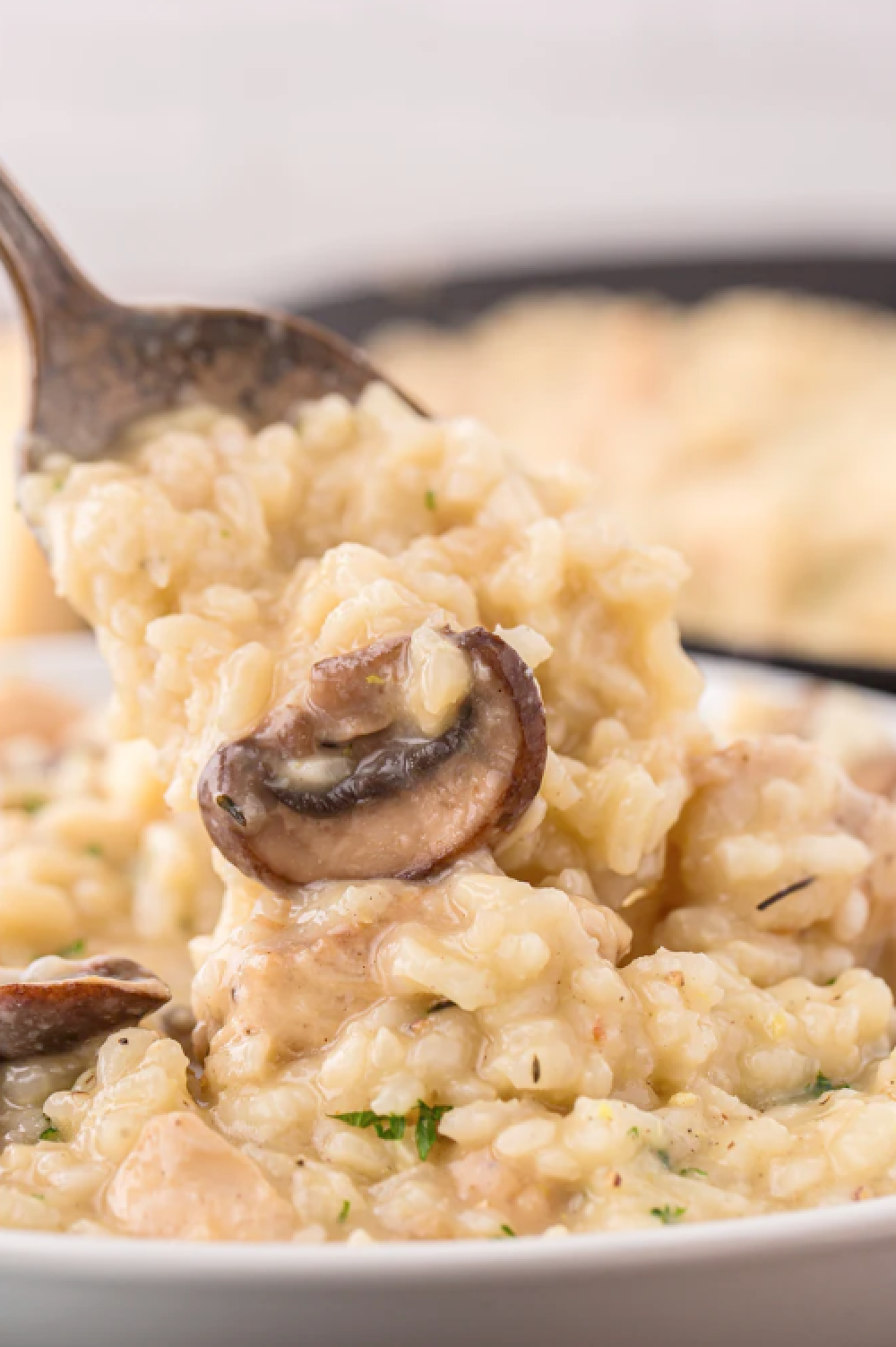 Mushroom risotto with chunks of chicken