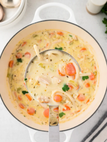 leftover turkey noodle soup