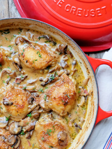 roasted chicken thighs in a creamy mushroom sauce
